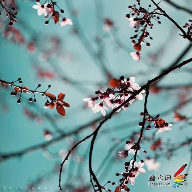 大光圈,景深浅图片