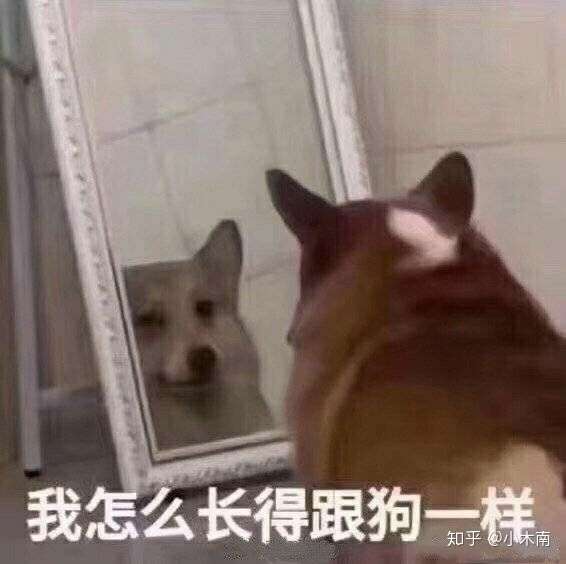 最开始我以为我身上的鸡皮疙瘩就是鸡皮肤,所以我买了果酸身体乳和