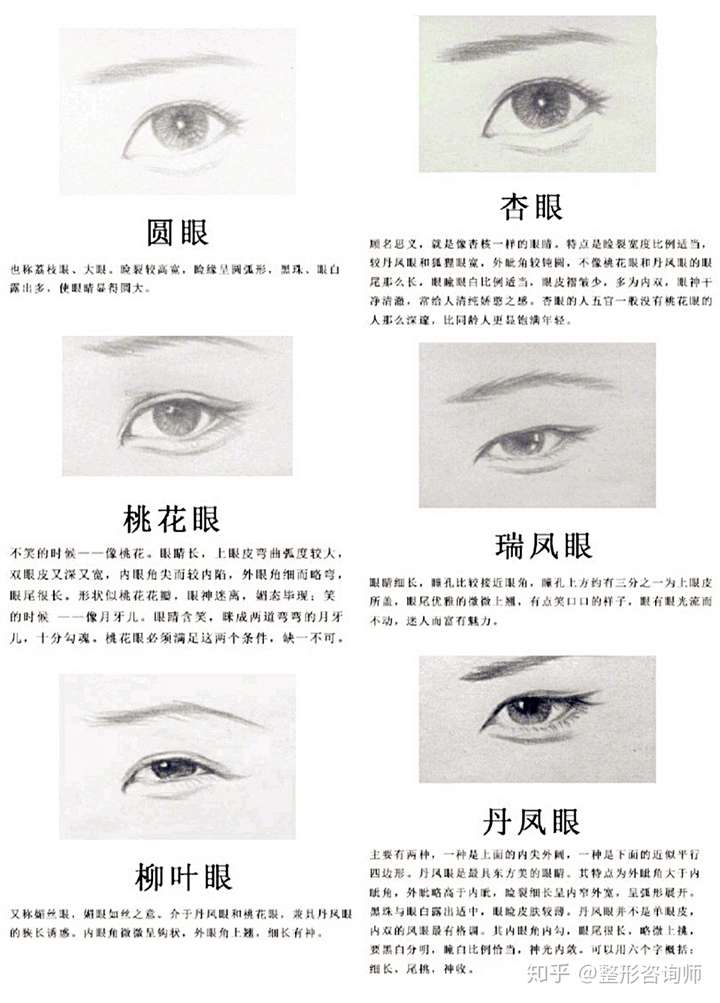 圆眼:又称荔枝眼,眼睑呈圆弧形,黑眼珠,眼白露出多,显得眼睛又大又圆