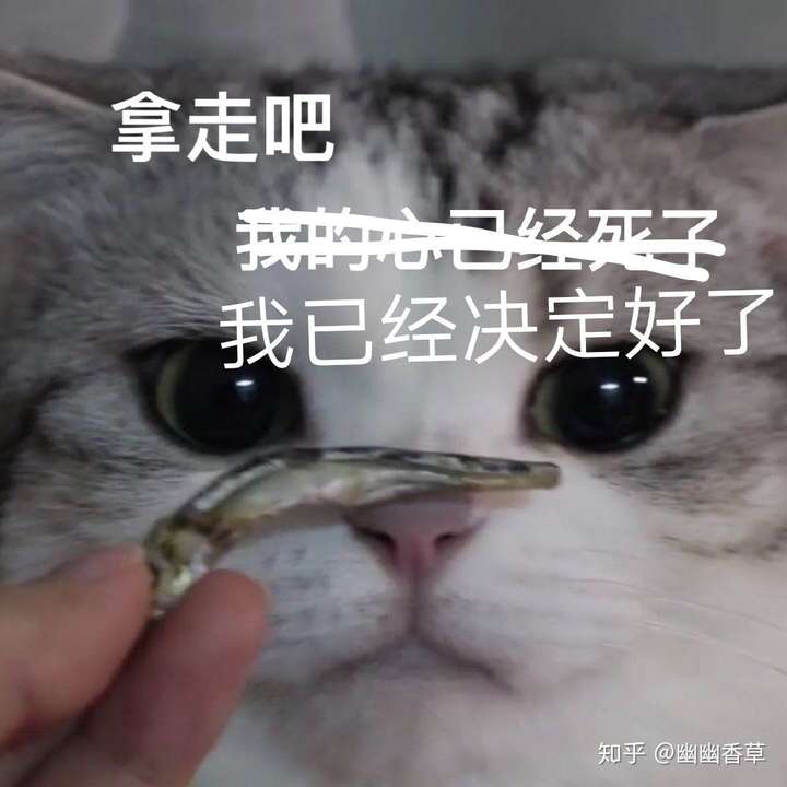 为没尝过的巨大利益放弃多年的(但是不是触手不可及的)愿望,我不乐意