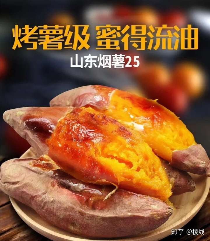 山东烟薯25 - 知乎