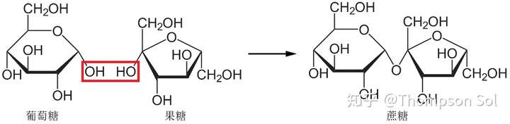麦芽糖有醛基因此有还原性,为什么在麦芽糖结构式中找