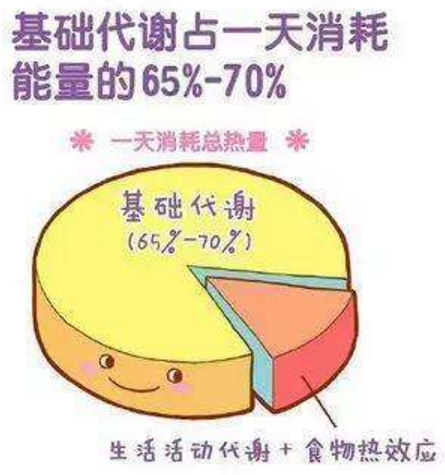 有什么方法可以提高基础代谢率?