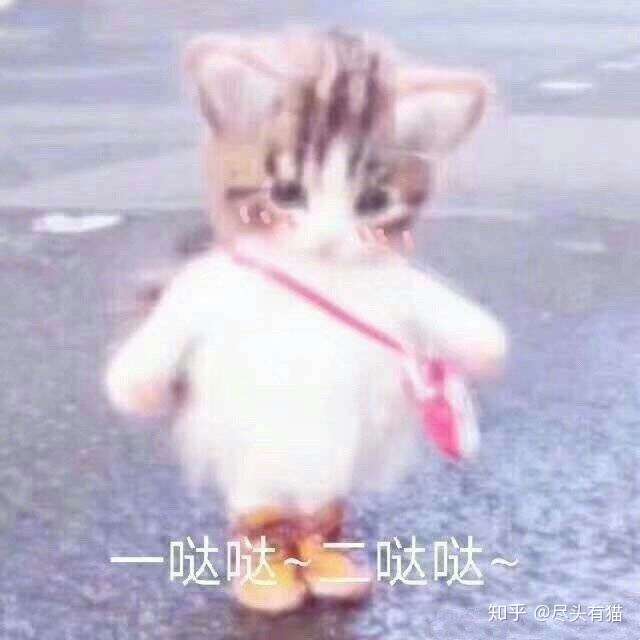 发一些可爱的猫猫表情包,经常对他们说小猫咪多么多么可爱啊(你甚至还