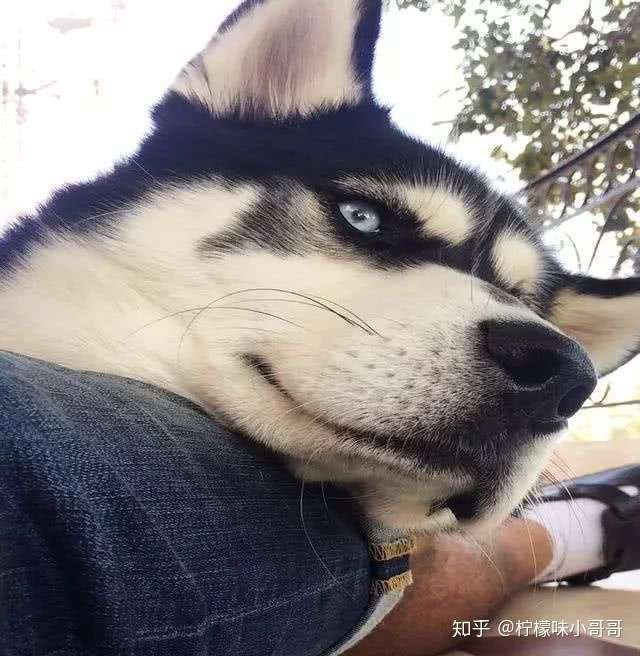 搞得我整个人都感觉不好了.