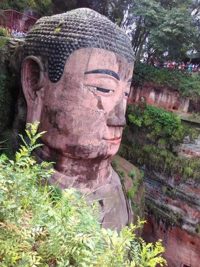 乐山-峨眉山玩了一趟 小萌1岁半时,我们带他北京-广州-三亚玩了一个月