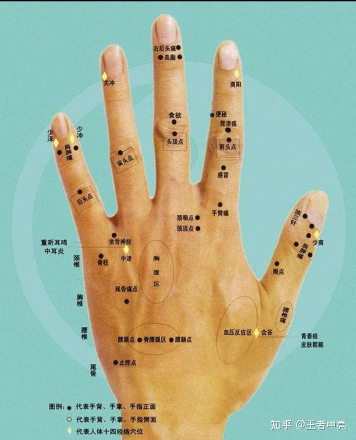 在命相学中,手上不同位置的痣的说法是:大拇指以及附近有痣代表自己