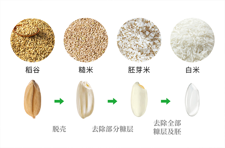 糙米可以和大米在一起煮吗?