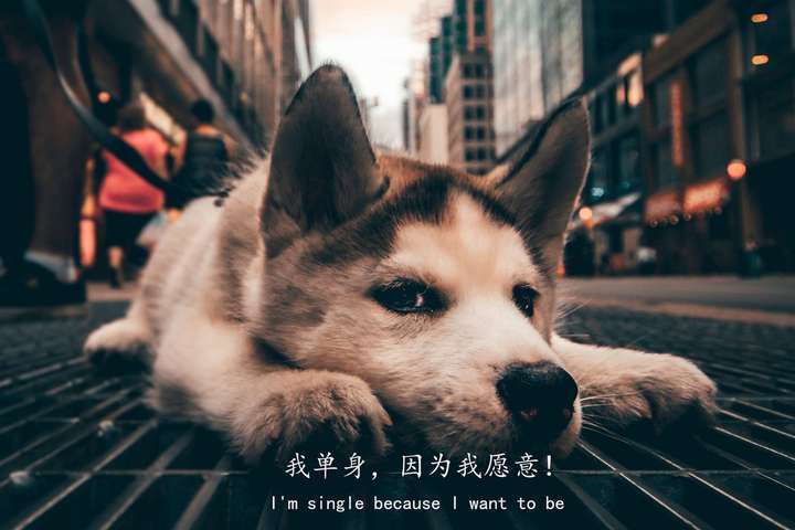 有伤感图片吗,想拿来朋友圈配图?