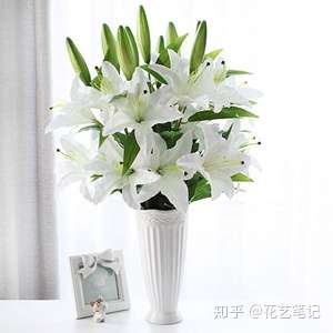西安花店推荐母亲节送什么花给妈妈