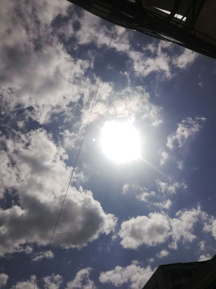 早上迎着太阳去上班什么感觉?
