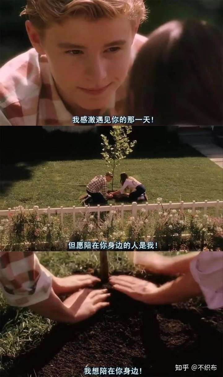 男孩回了我斯人若彩虹,遇上方知有,怦然心动.怎么回事