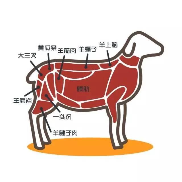 历史也比牛肉火锅更悠久,对羊肉不同部位的分割也颇为讲究.