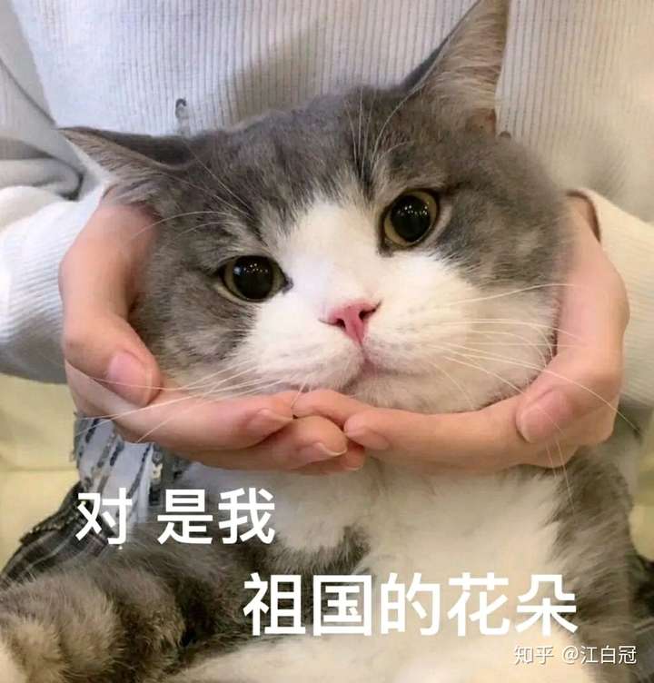 是我,祖国的花朵