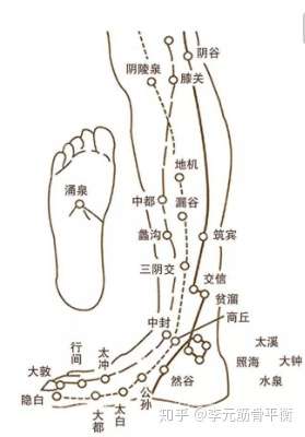 按摩脚底对健康真有好处吗有科学依据吗