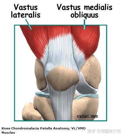 https://www.physio-pedia.com/chondromalacia_patellae