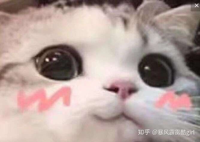 有没有这种猫猫头一系列表情包?