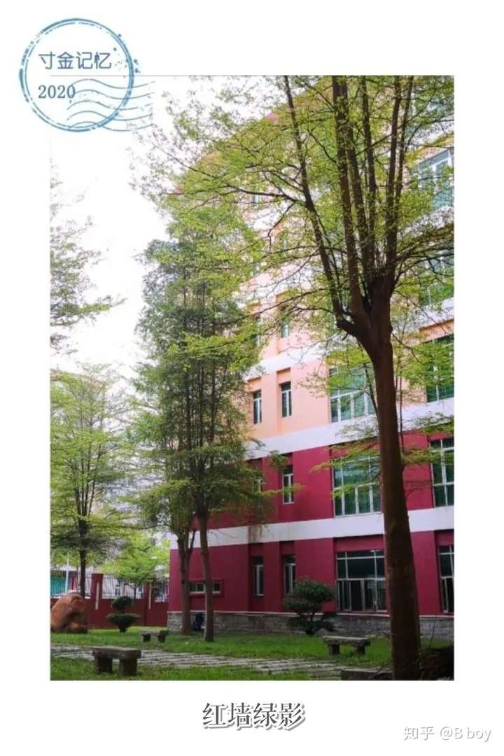 广东海洋大学寸金学院的校园环境如何?