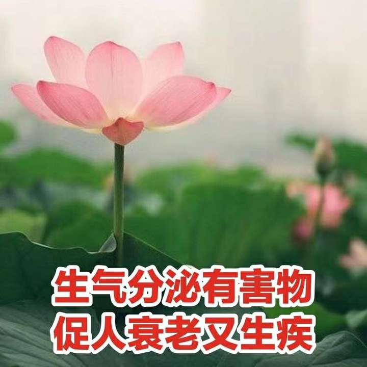 如何看待聊天一直发表情包的人