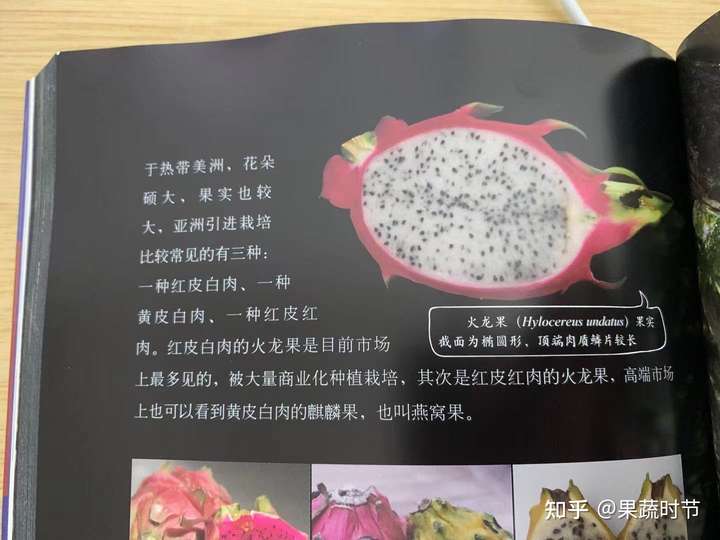 红心火龙果真的比白心火龙果更有营养吗?