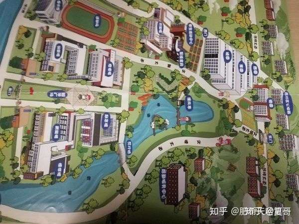 重庆工商职业学院的校园环境如何?