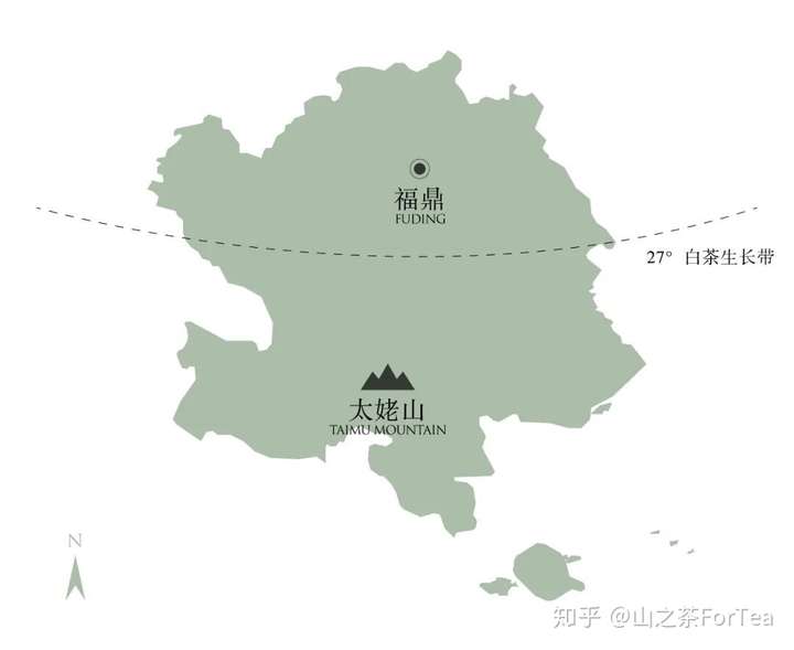 我们从福鼎市点头镇带回了珍藏五年和八年的老白茶