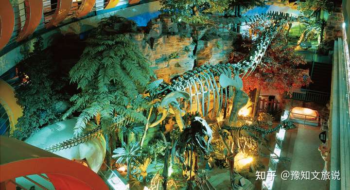河南自然博物馆的有哪些镇馆之宝?