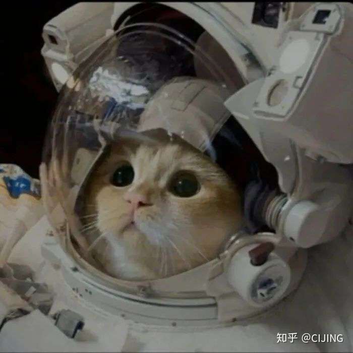 请问一下有没有宇航员头像是猫和狗的谢谢