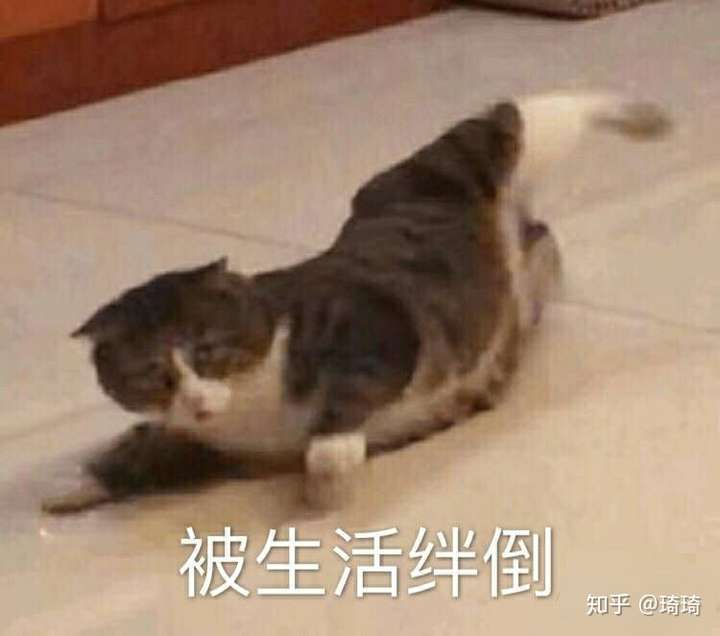 你明明是个孩子,为什么满脸绝望?
