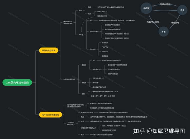 门:高中生物必修三第一章人体的内环境与稳态_思维导图模板_知犀官网