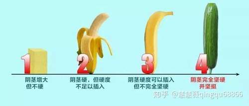 zhuanlan.zhihu.com