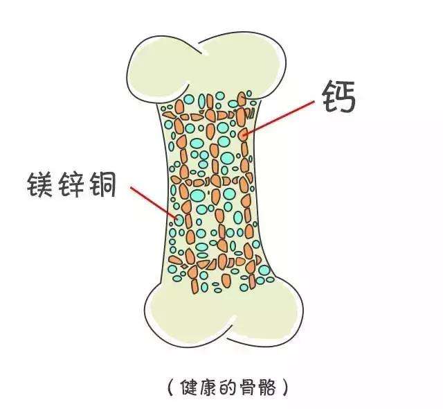 奶奶又骨折了,求推荐好的钙片,还有平时注意事项,康复