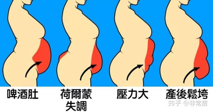 只有肚子胖的女生该怎么减