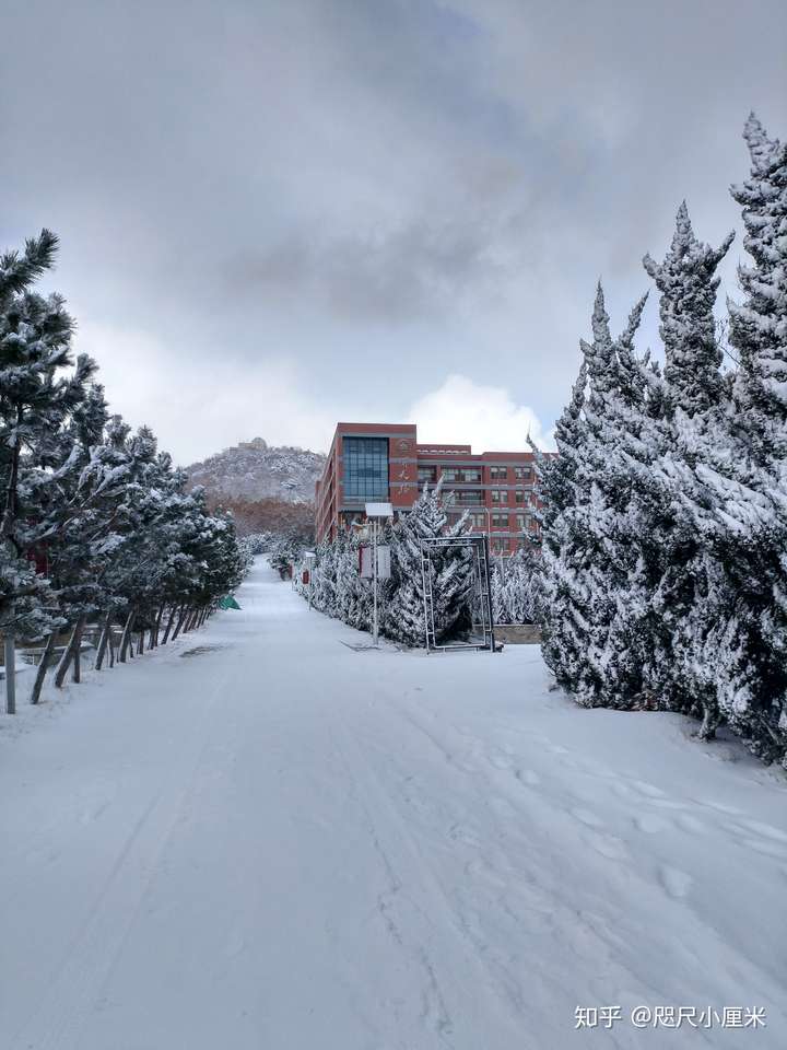 山东大学威海校区真的有海景房宿舍嘛?