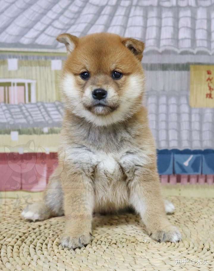 很负责的人,我一一给你建议下～ 第一个:黑口罩问题,就是小黑嘴的问题
