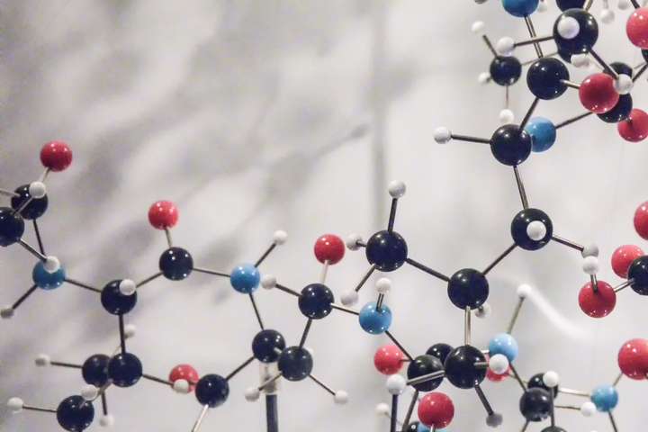 胰岛素分子结构模型