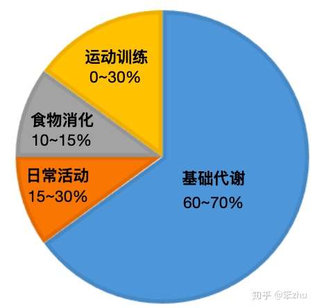 每日的总热量消耗( tee)由以下四个部分组成.