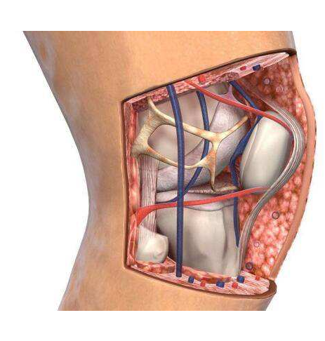 右膝内侧副韧带损伤需要多久康复和如何恢复