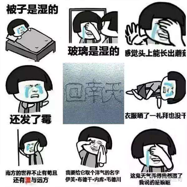 知乎