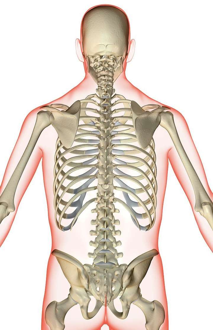 肩胛骨上提过程中出现弹响,应该处理哪块肌肉?