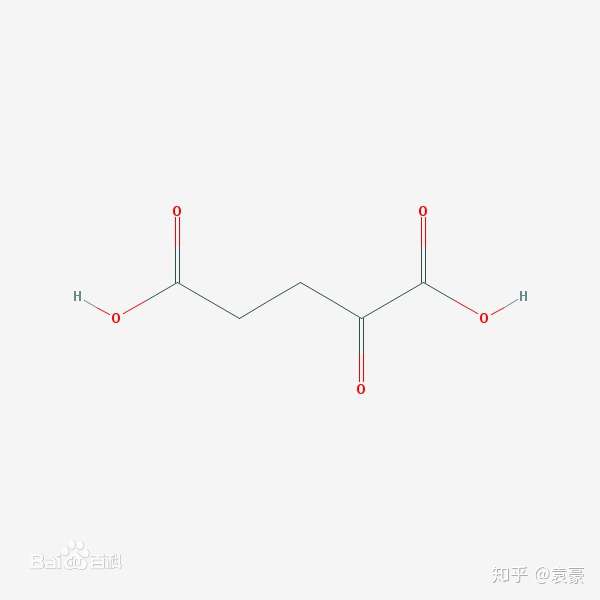 啥是乙酰基我怎么知道α酮戊二酸里有几个乙酰基