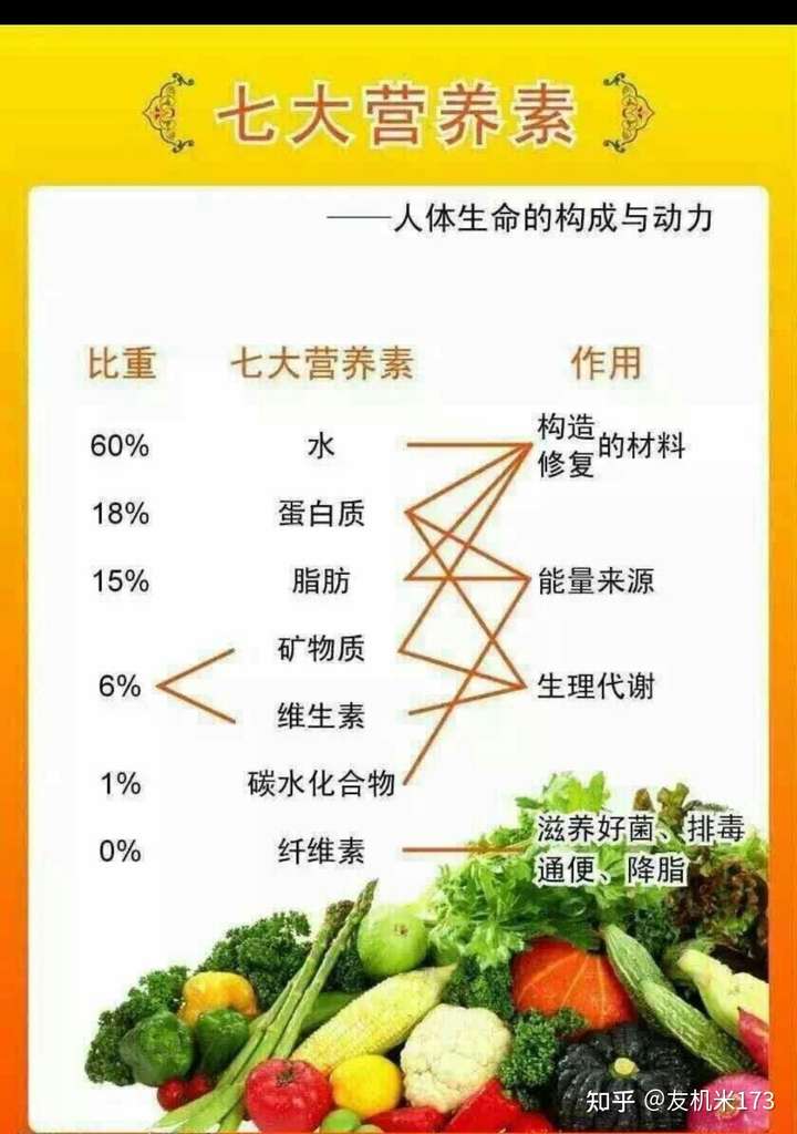 这样的一日三餐可以保证到减肥吗