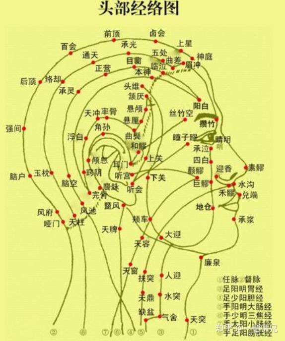 且头部又有很多部位非常的脆弱,并不易用很大的力气按摩