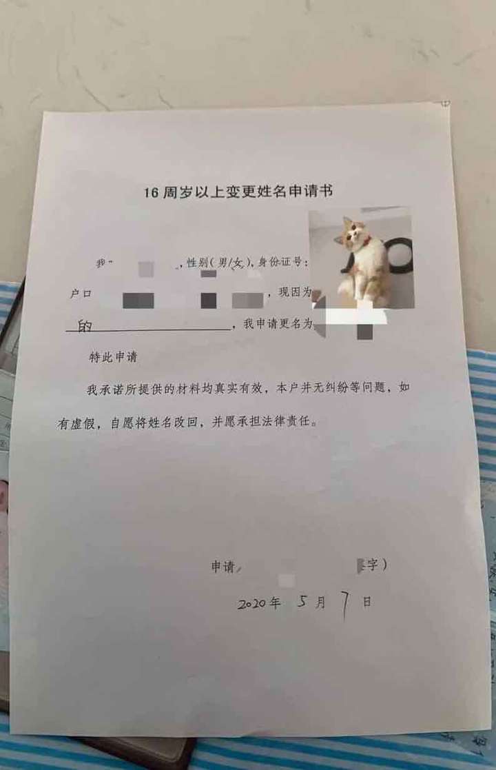 成年人改名字有哪些手续,规定?