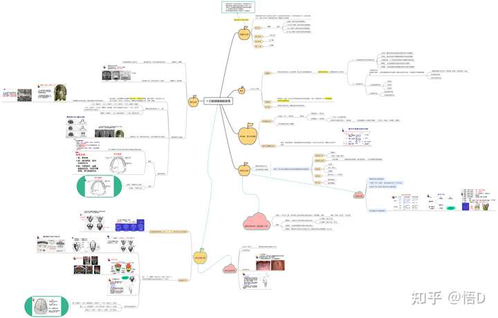 有没有关于口腔知识思维导图的app或网站?