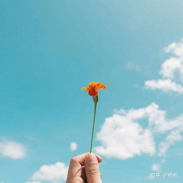 有哪些值得收藏很干净又很治愈的阳光文案.