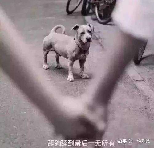 男子为女友读书而弃学打工，女友毕业他被甩了