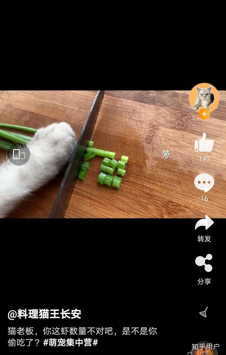 如何评价b站up主料理猫王长安