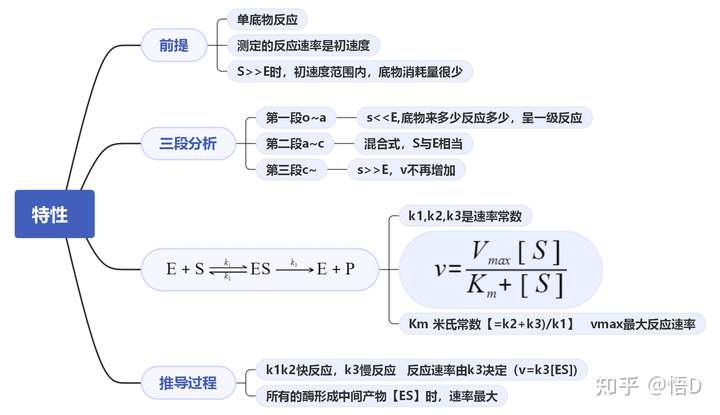 如何用思维导图形式画出影响酶促反应速度的因素的要点?