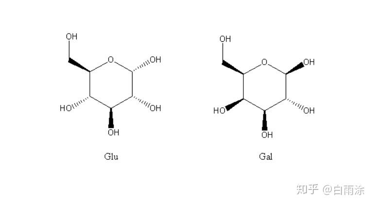 半乳糖与葡萄糖,分子结构到底有何区别,有何影响?